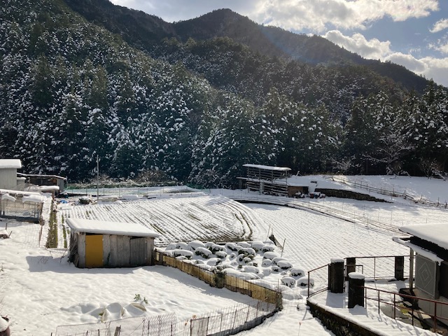 十津川村に雪が積もりました