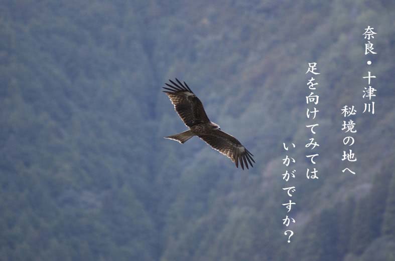 奈良・十津川 秘境の地へ 足を向けてみては いかがですか？
